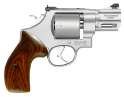 Smith and Wesson N-frame grips in cocobolo